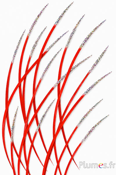 Gans zilveren glitters - 16-18 cm - rood